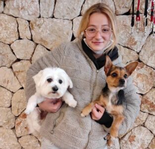 Best Friend Peluquería Canina