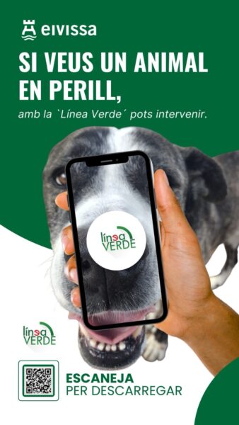 Eivissa incorpora denuncias anónimas sobre bienestar animal en la app Línea Verde