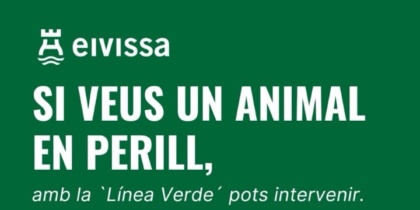 Eivissa incorpora denuncias anónimas sobre bienestar animal en la app Línea Verde