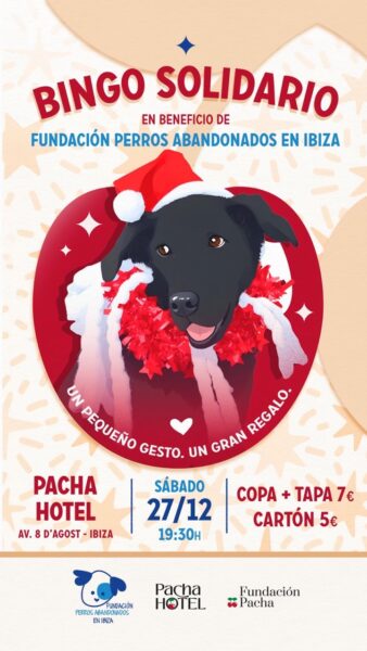 Bingo solidario por los perros abandonados en Pacha Hotel