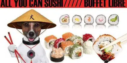Date un gustazo con el buffet libre de sushi de Los Bodegueros Ibiza