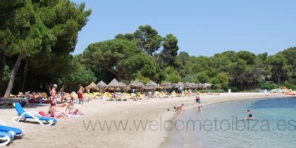 Playas y Calas Ibiza- cala es niu blau2 1 1