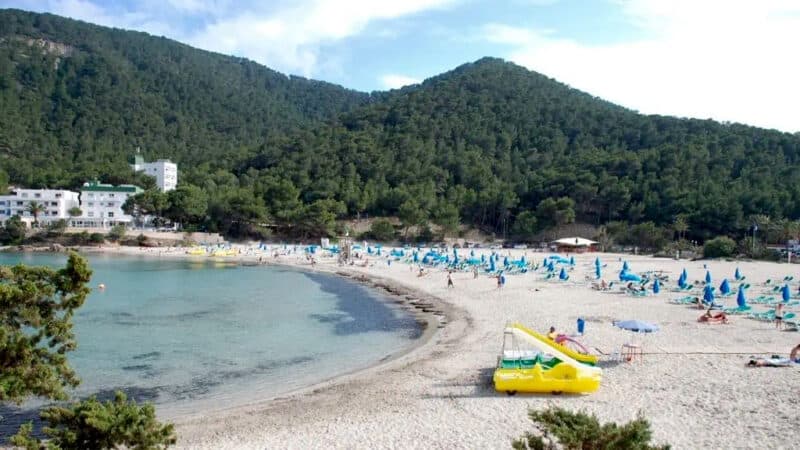 Playas para ir con niños en Ibiza- cala llonga santa eulalia 2016 1 2 1 medium