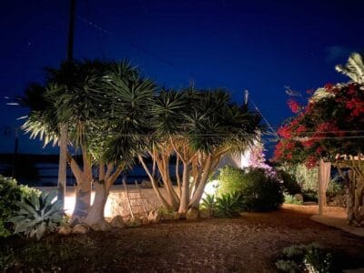 Caléndula Gardens