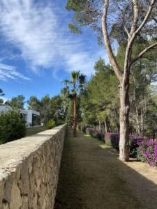 Caléndula Gardens