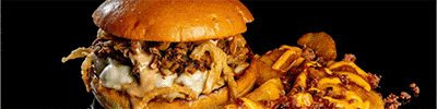 hamburguesa gourmet con patatas