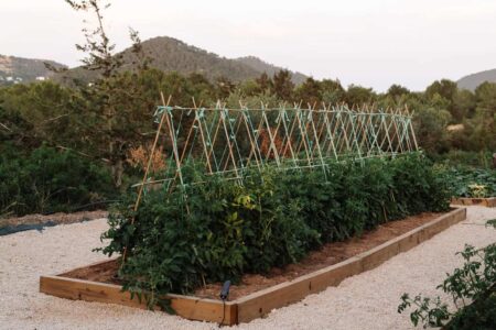 Restaurante Can Domo Ibiza