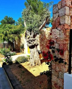 Can Pere