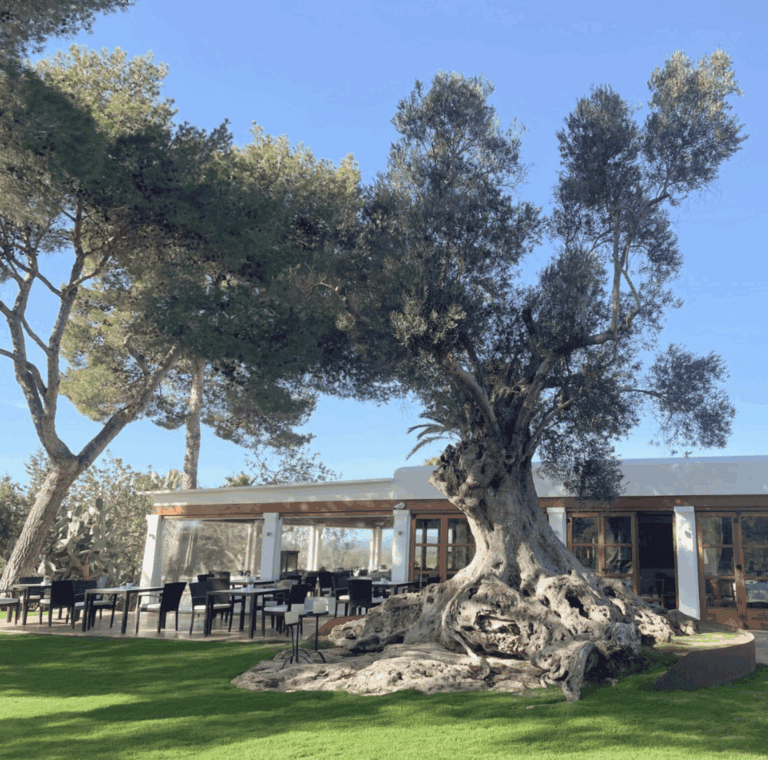 Restaurante Can Curreu