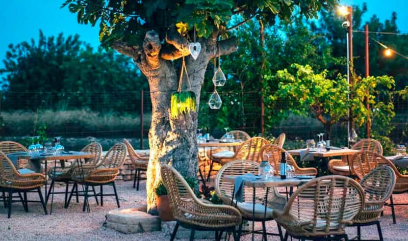 Restaurantes con terraza en Ibiza para momentos inolvidables- canmussonetibiza 1 1