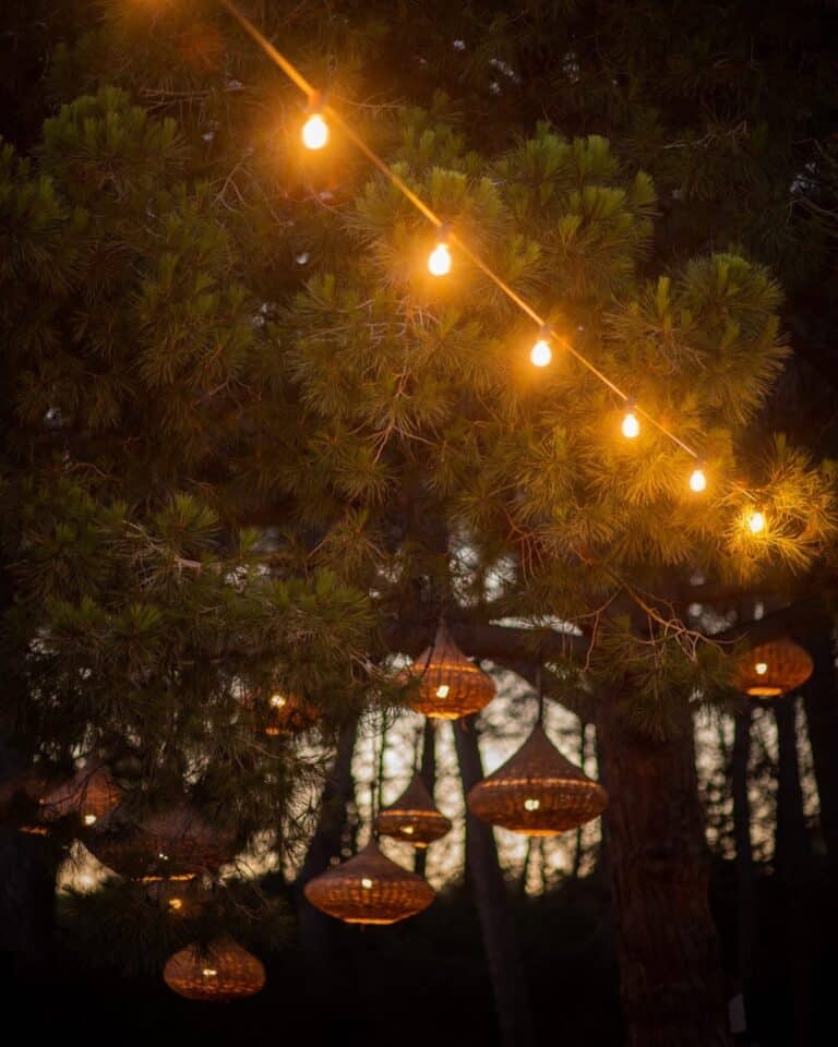 Cine bajo las estrellas en Atzaró Agroturismo Hotel Ibiza