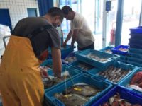 Talleres y degustaciones en la Jornada de Puertas Abiertas de la Cofradía de Pescadores de Ibiza