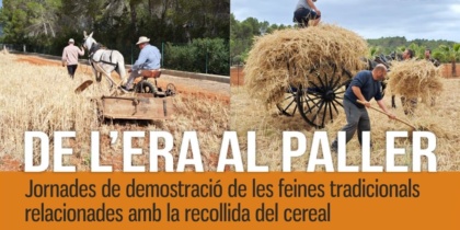 Borrador automático