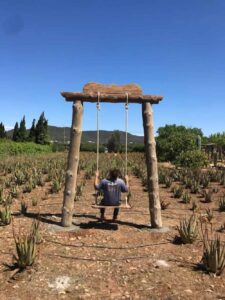 Decoarte Ibiza