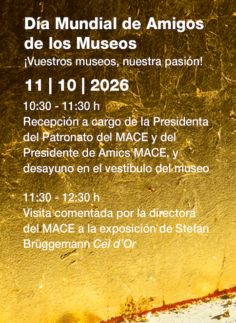 Día Mundial de los Amigos de los Museos en el MACE