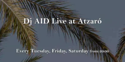 dj-aid-live-atzaro-agroturismo-hotel-ibiza-welcometoibiza