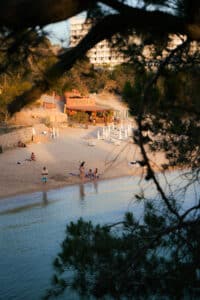 Pomelo Playa: cenas bajo las estrellas en Cala Gració con Grupo Mambo