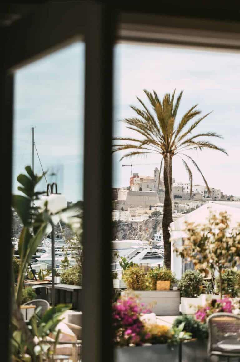 DVCA Marina