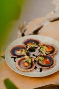 Ebusus CBbC Restaurant