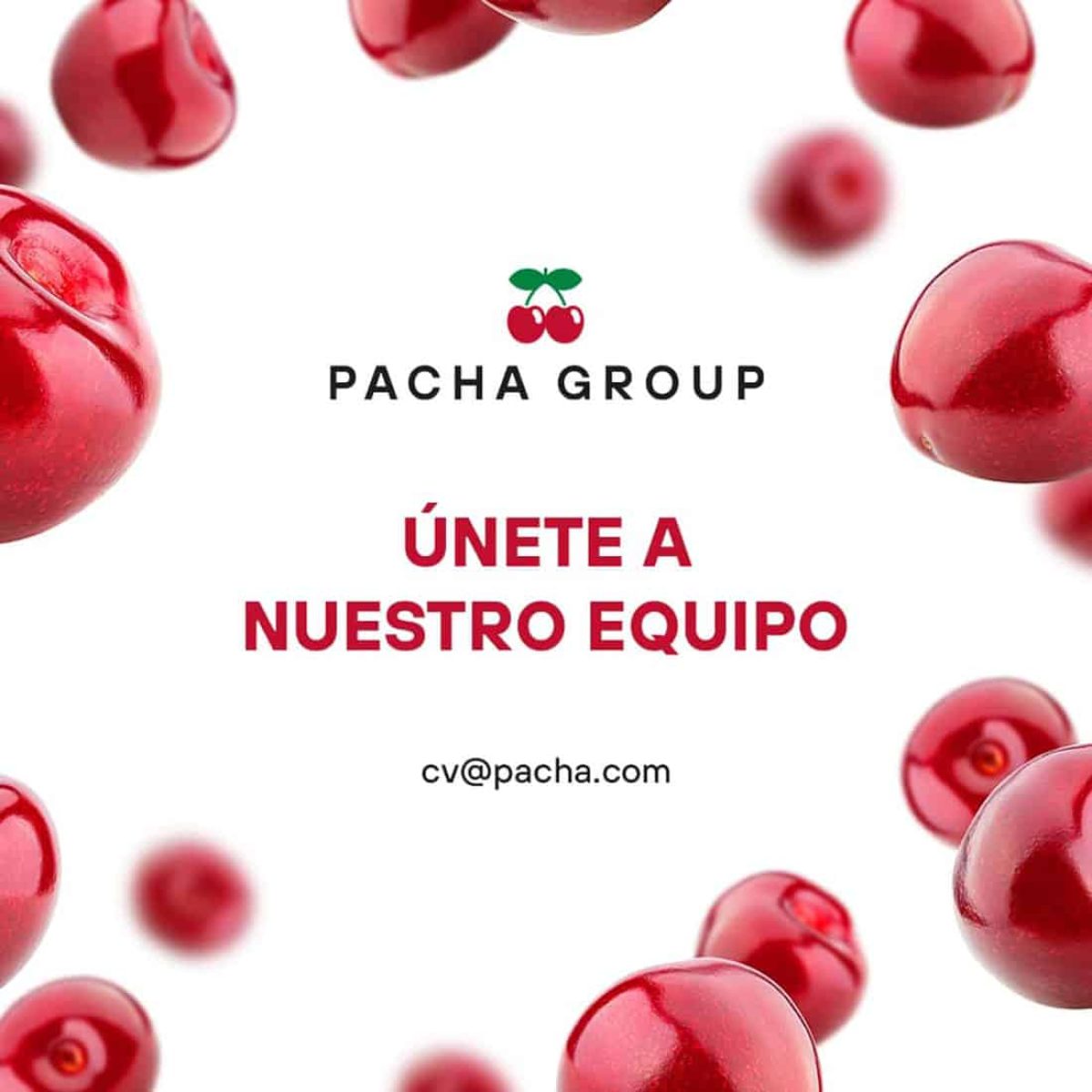 treball-en-Eivissa-2021-pacha-group-welcometoibiza