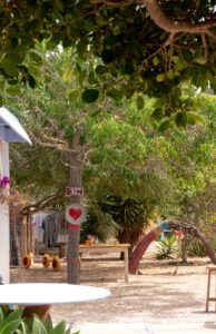 Can Salinas (El rey de la fideuá Ibiza)