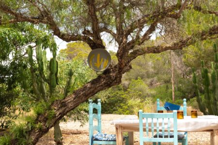 Can Salinas (El rey de la fideuá Ibiza)