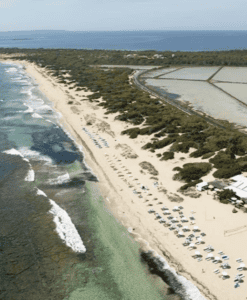 Vuelta a Ibiza en bus con visita a Hippy Market Punta Arabí