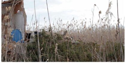 Temps i Feixes, exposición de Daniel Castilla