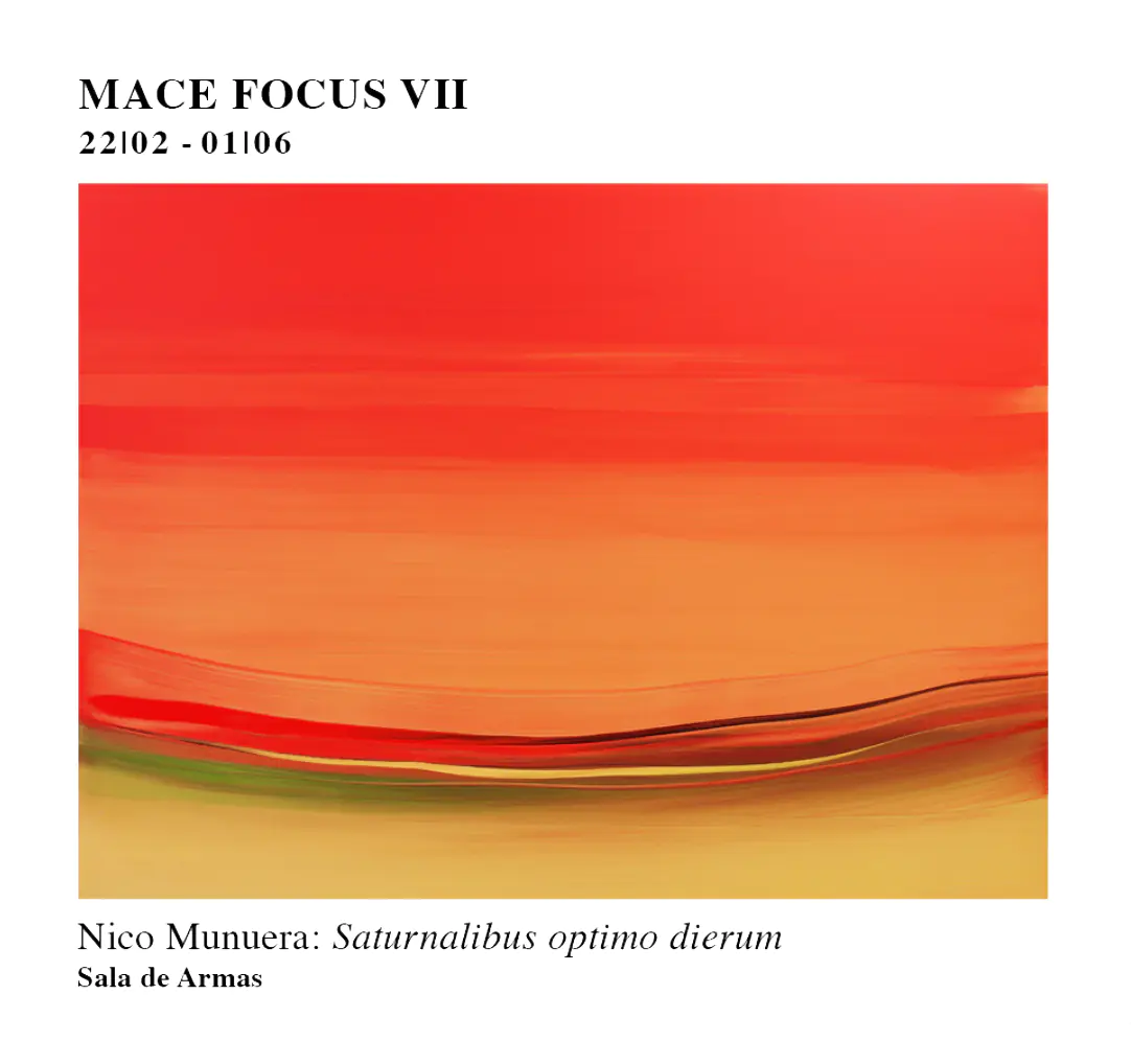Exposición MACE Focus VII