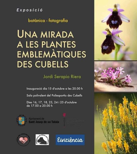 exposicion-plantas-es-cubells-ibiza-2020-welcometoibiza