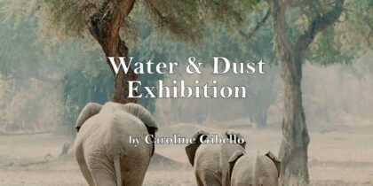 exhibition-water-and-dust-caroline-gibello-atzaro-agroturismo-hotel-ibiza-2023-welcometoibiza