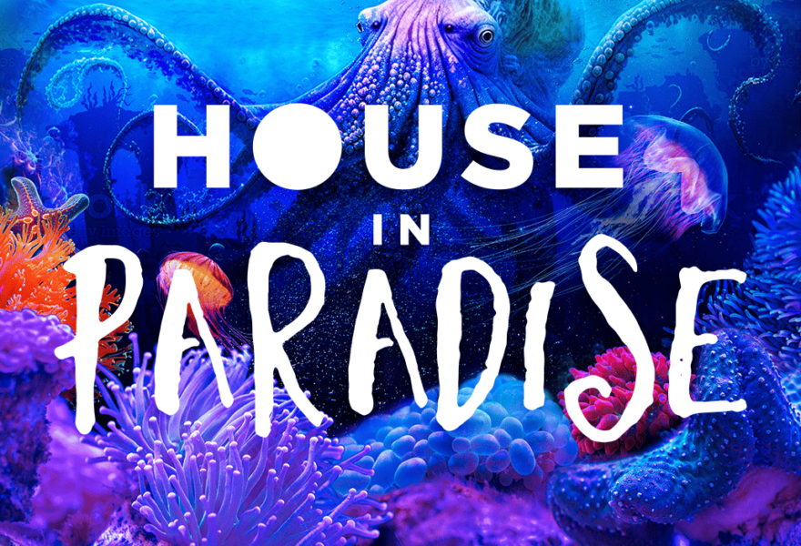 fiesta-house-in-paradise-o-beach-ibiza-welcometoibiza