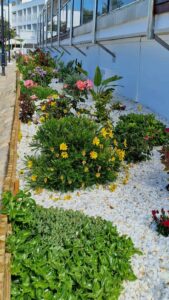 Las Gardenias Ibiza