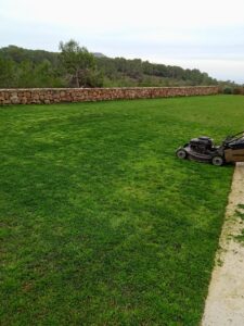 Las Gardenias Ibiza