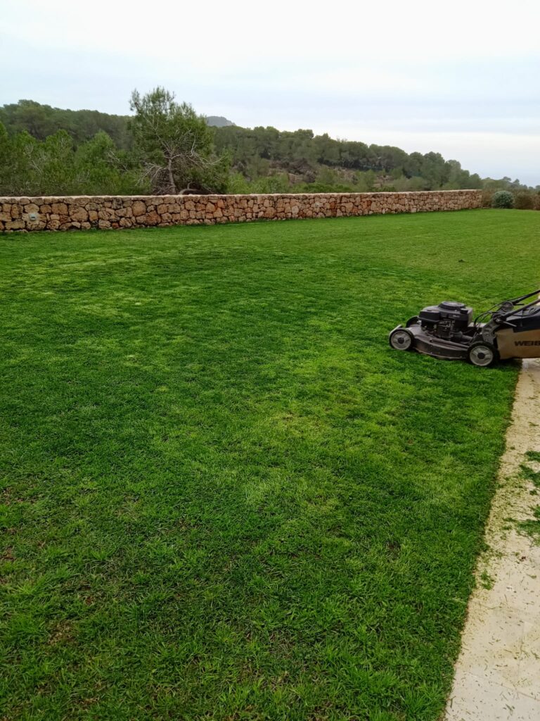 Las Gardenias Ibiza