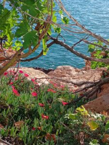 Las Gardenias Ibiza