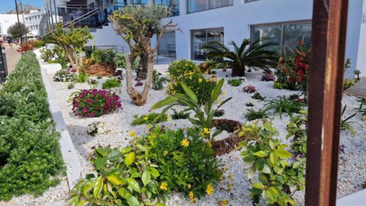 Las Gardenias Ibiza