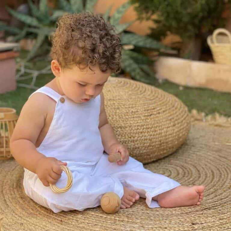 Geckos Ibiza