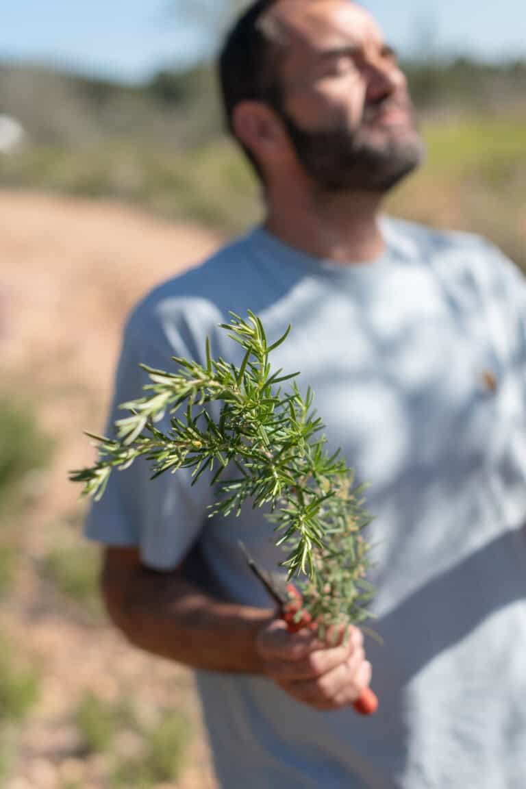 Herbes Can Vidal