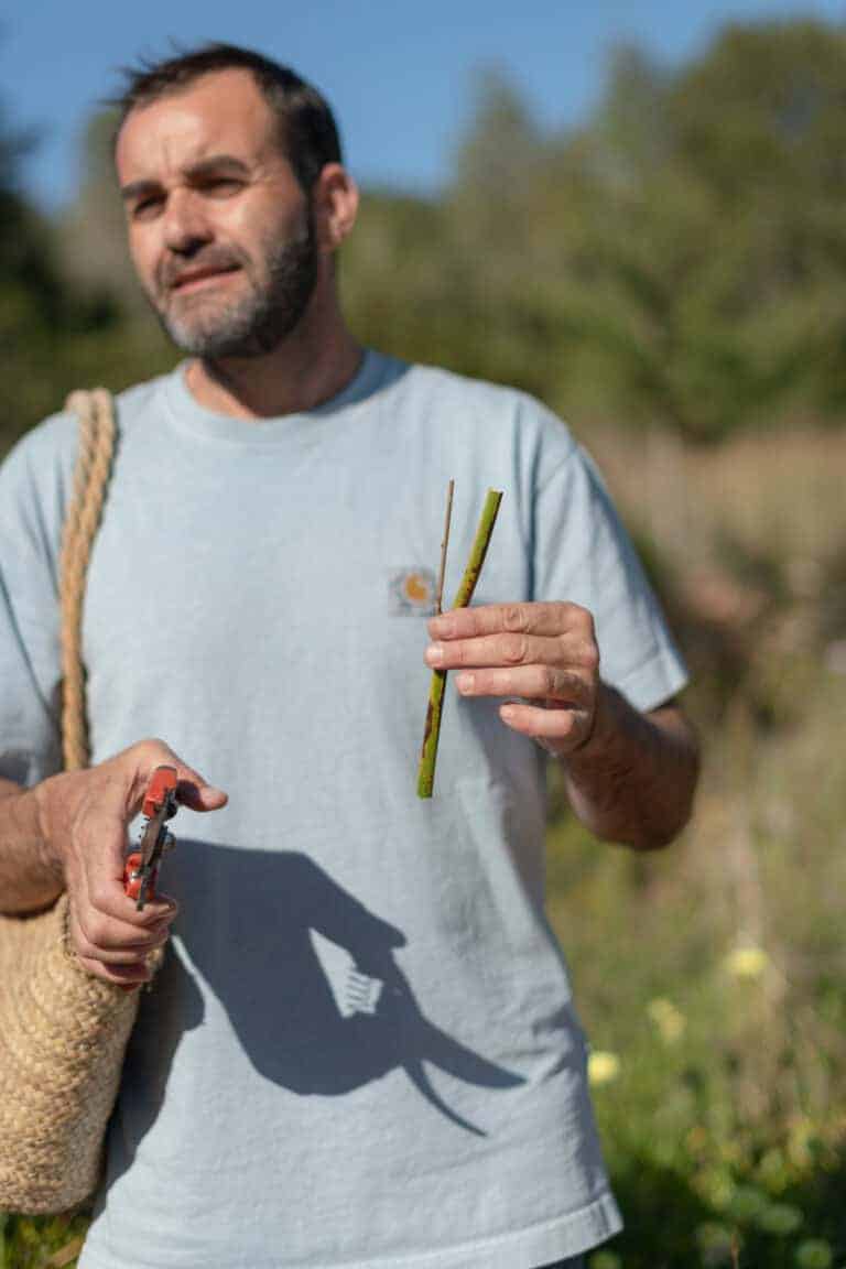 Herbes Can Vidal