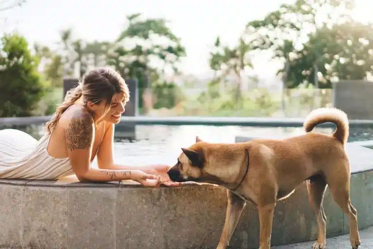 Hoteles que admiten mascotas en Ibiza