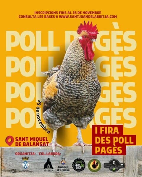 Feria del Pollo Payés en San Miguel