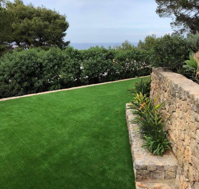 Ibigrass