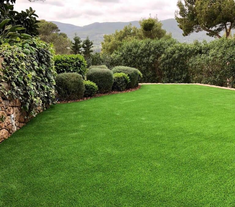 Ibigrass