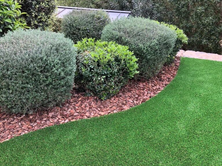 Ibigrass