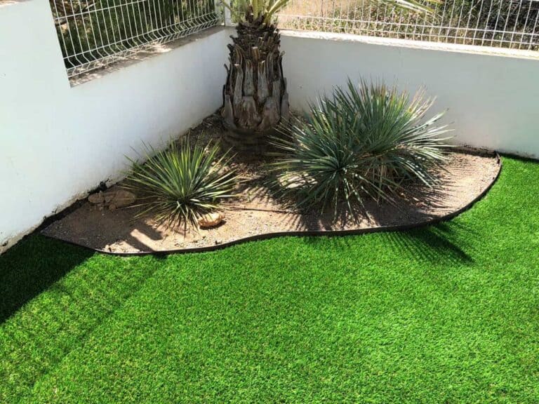 Ibigrass