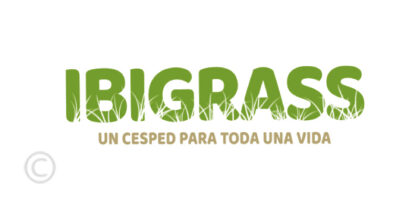 ibigrass