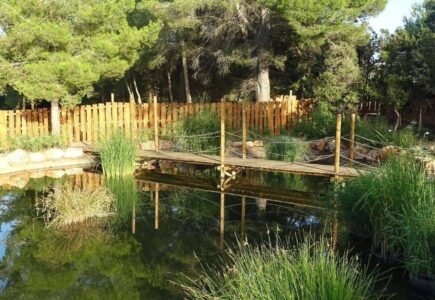 ibiza-botanico-biotecnologico- - -