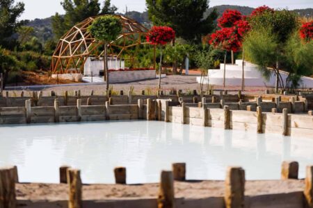 ibiza-botanico-biotecnologico- - -