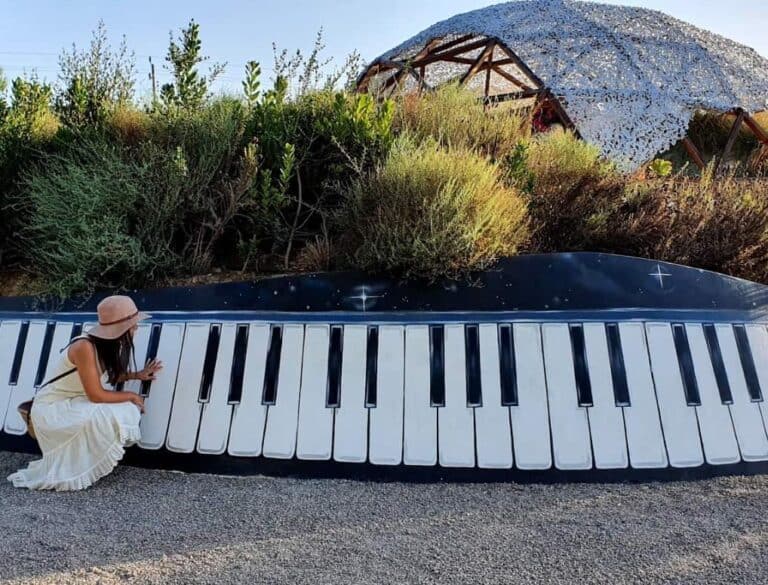 BiBo Park (Ibiza Botánico Biotecnológico)